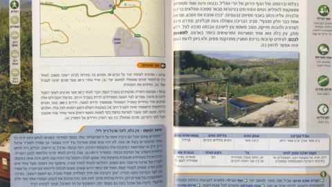 11 עין בלה.jpg