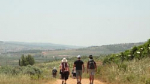 11 מזריחה לשקיעה (17).jpg