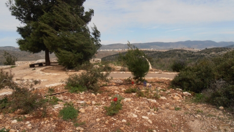 11 ארבל ביובלים (7).jpg
