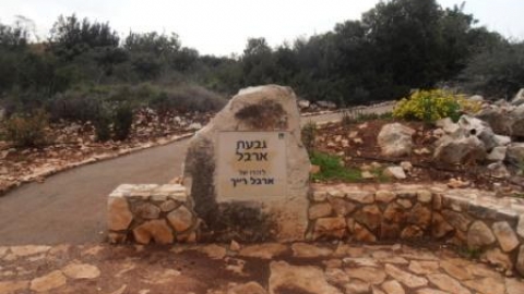 11 ארבל ביובלים (10).jpg