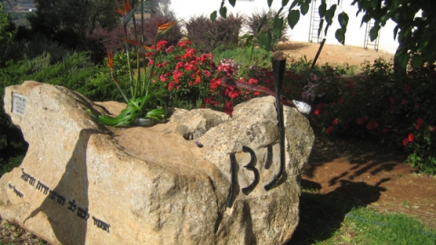 11 יום ספורט לזכרו של ניצן בלדרן (1).jpg