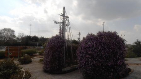 11 שבילי יואב - לזכרו של יואב הדר (1).jpg