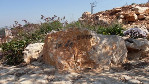 11 הדרך של בן - לזכרו של בן סלע (8).jpg