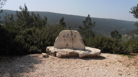 11 חורשת הנופלים (4).jpg